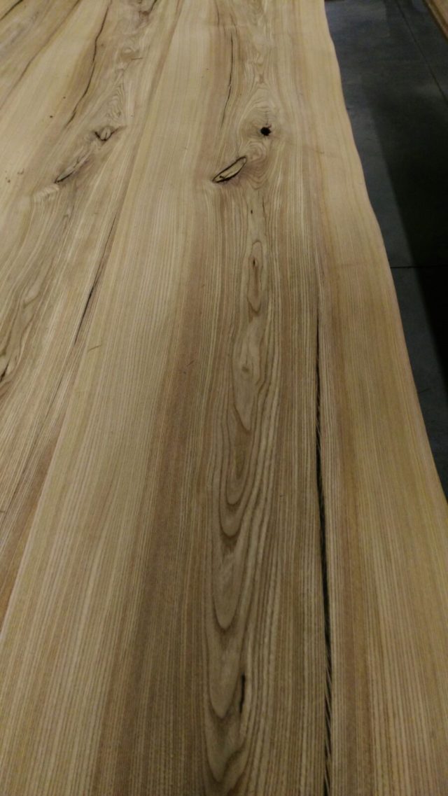 fogli di legno olmo rustico